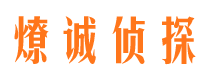 河曲市调查公司